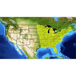 Lowrance LOWRANCE LAKE INSIGHT HD EAST V16 - 000-12594-001 Lowrance LOWRANCE LAKE INSIGHT HD EAST V16 - 000-12594-001