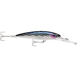 Rapala X-Rap Magnum 15 Bonito