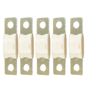 Victron-Energy-Victron-MEGA-Fuse-40A-80V-(Package-of-5-Pieces)---CIP138040020 CIP138040020
