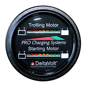 Dual Pro Battery Fuel Gauge - Marine Dual Read Battery Monitor - 12V System - 15' Battery Cable - BFGWOM1512V/12V