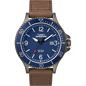 timex explorer