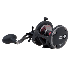 PENN WAR30 Warfare&trade; 30 Star Drag Conventional Reel CD-86608