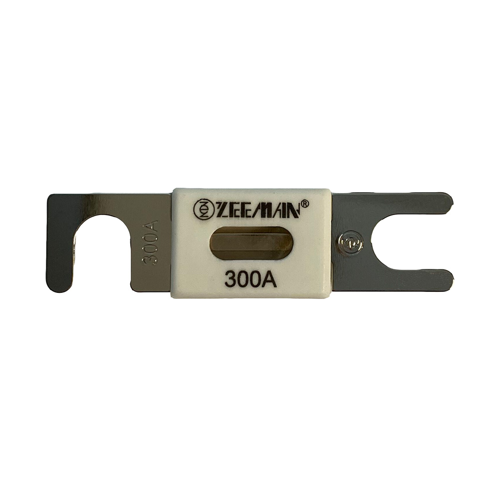 image for Victron ANL-Fuse 300A/80V f/48V Products (Package of 1)