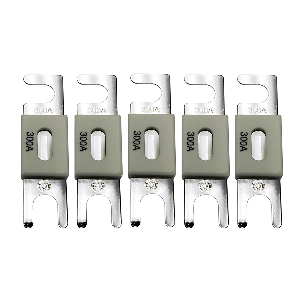 image for Victron ANL-Fuse 300A/80V f/48V Products (Package of 5)