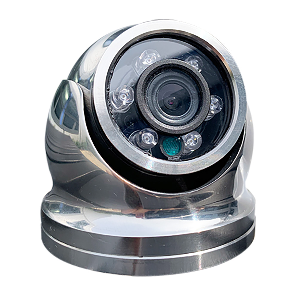 image for Iris Hi-Resolution Analog Mini Dome Camera – 316 Stainless Steel – CVBS – TVI