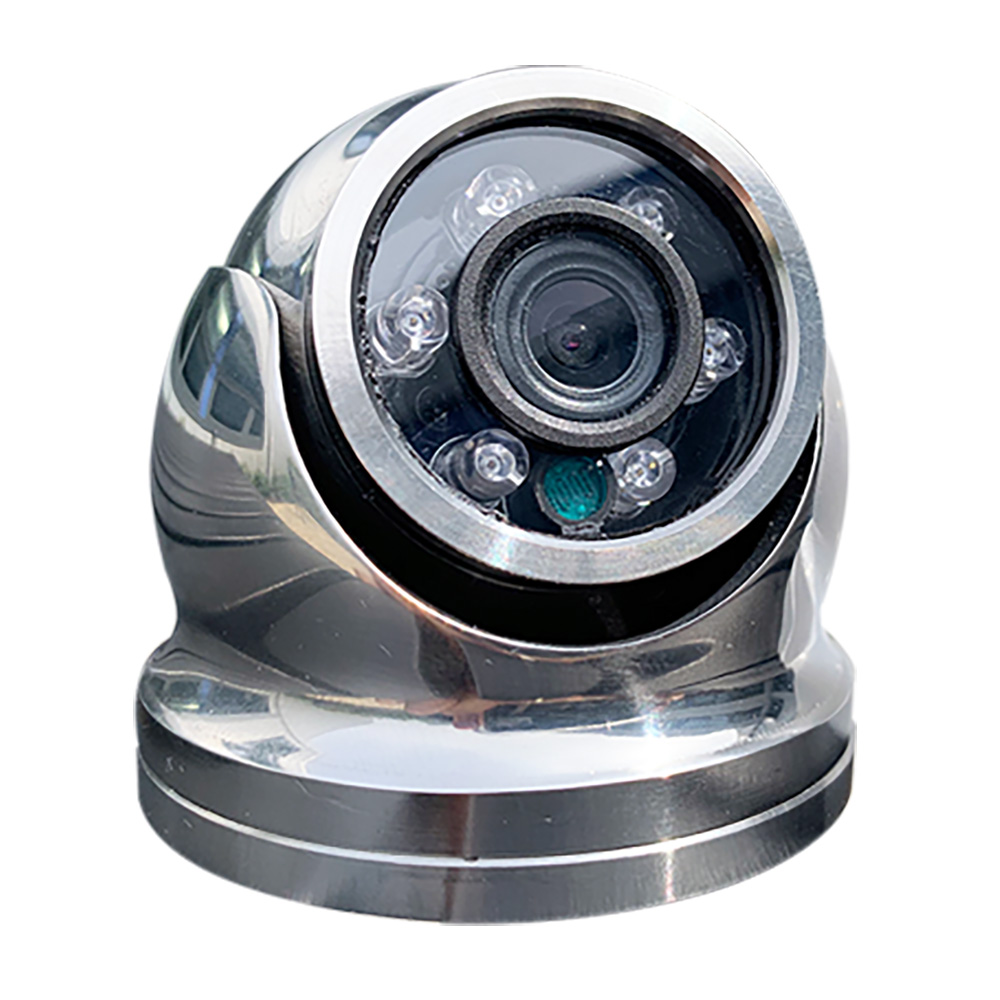 image for Iris Hi-Resolution Analog Mini Dome Camera – 316 Stainless Steel – CVBS – TVI – 3.6