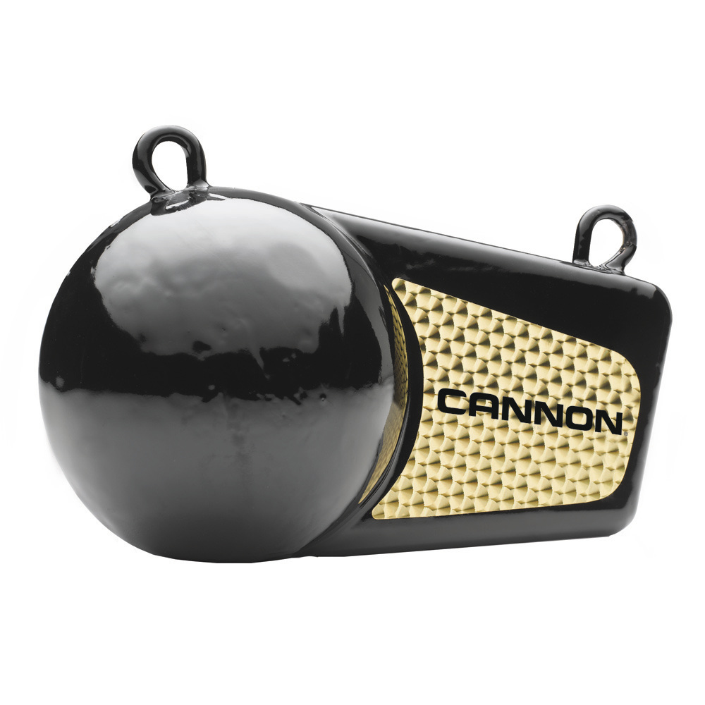 image for Cannon 4lb Flash Weight