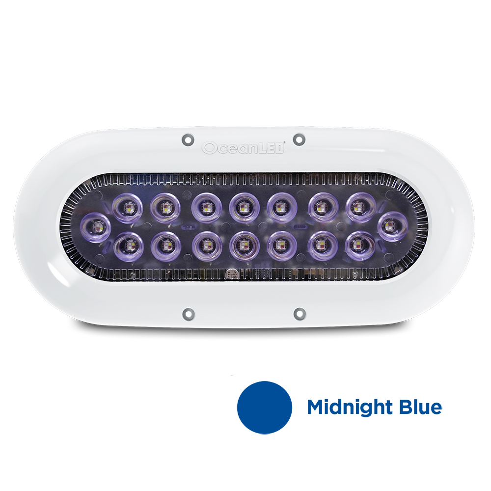 image for Ocean LED X-Series X16 – Midnight Blue LEDs