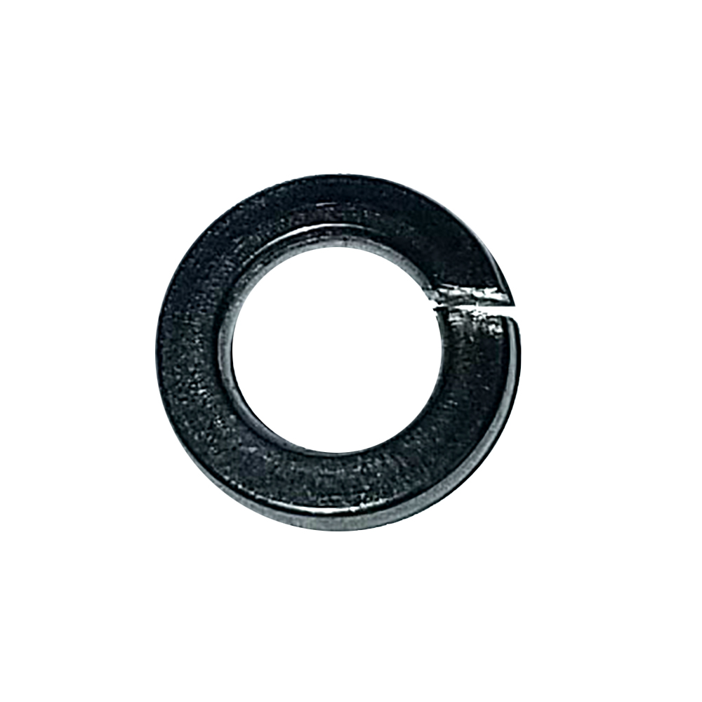 image for Maxwell Washer Spring – 6mm – 304 Stainless Steel