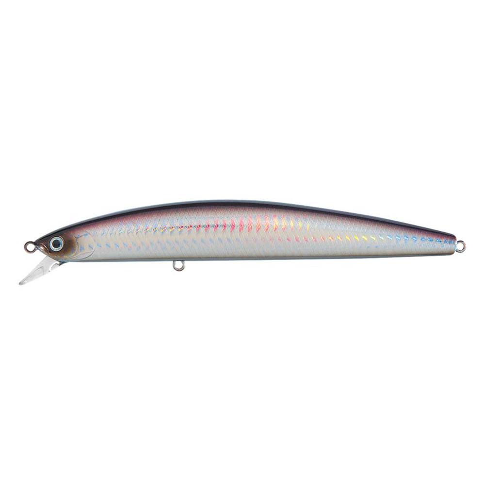 image for Daiwa Salt Pro Minnow – 5-1/8″ – Floating – Purple Back Silver