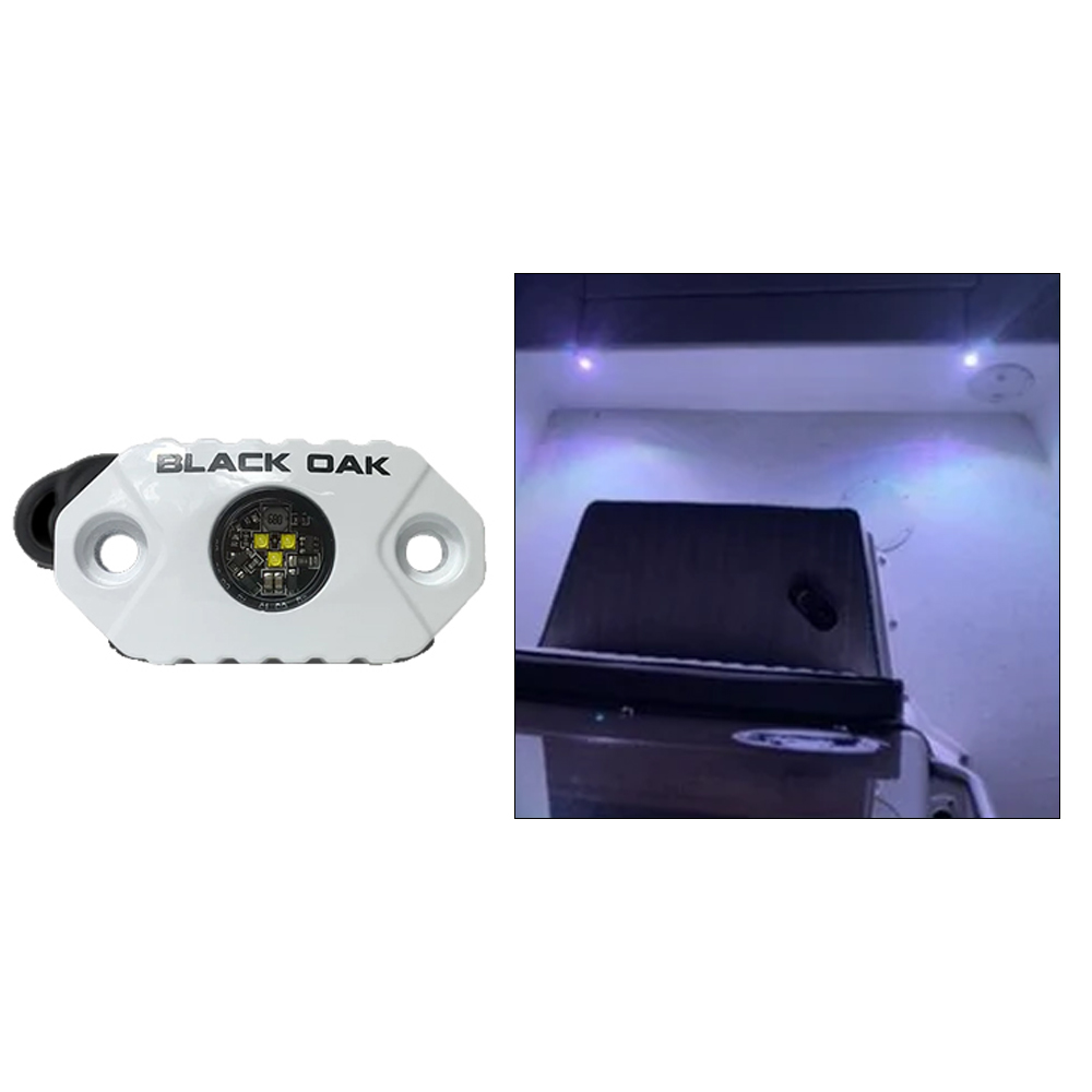Black Oak Rock Accent Light - White - White Housing CD-95891