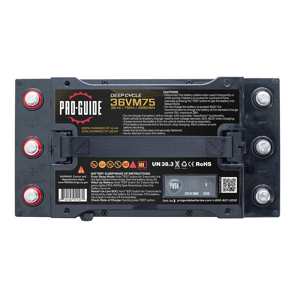 Pro-Guide Alpha Series Lithium Battery - 36V - 75AH - Group 31 (Tall) 4