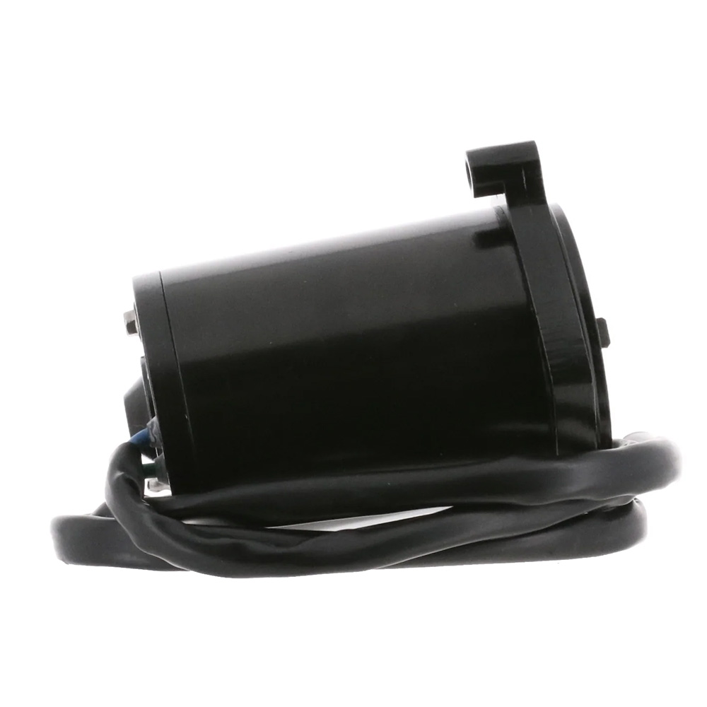 ARCO Marine Replacement Outboard Tilt Trim Motor - Late Model Mercury, 2-Wire 4